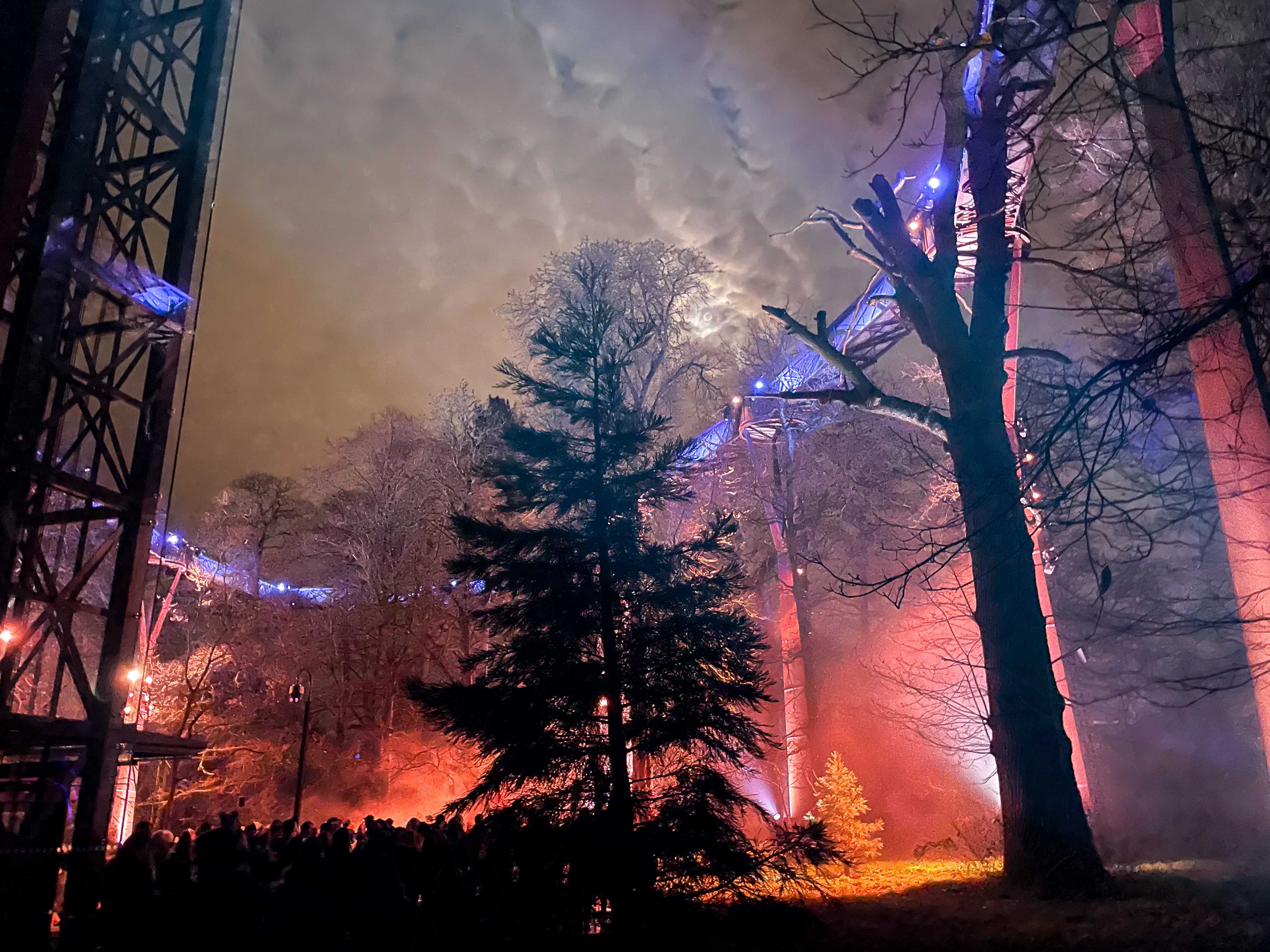 Sky light Show, Christmas at Kew