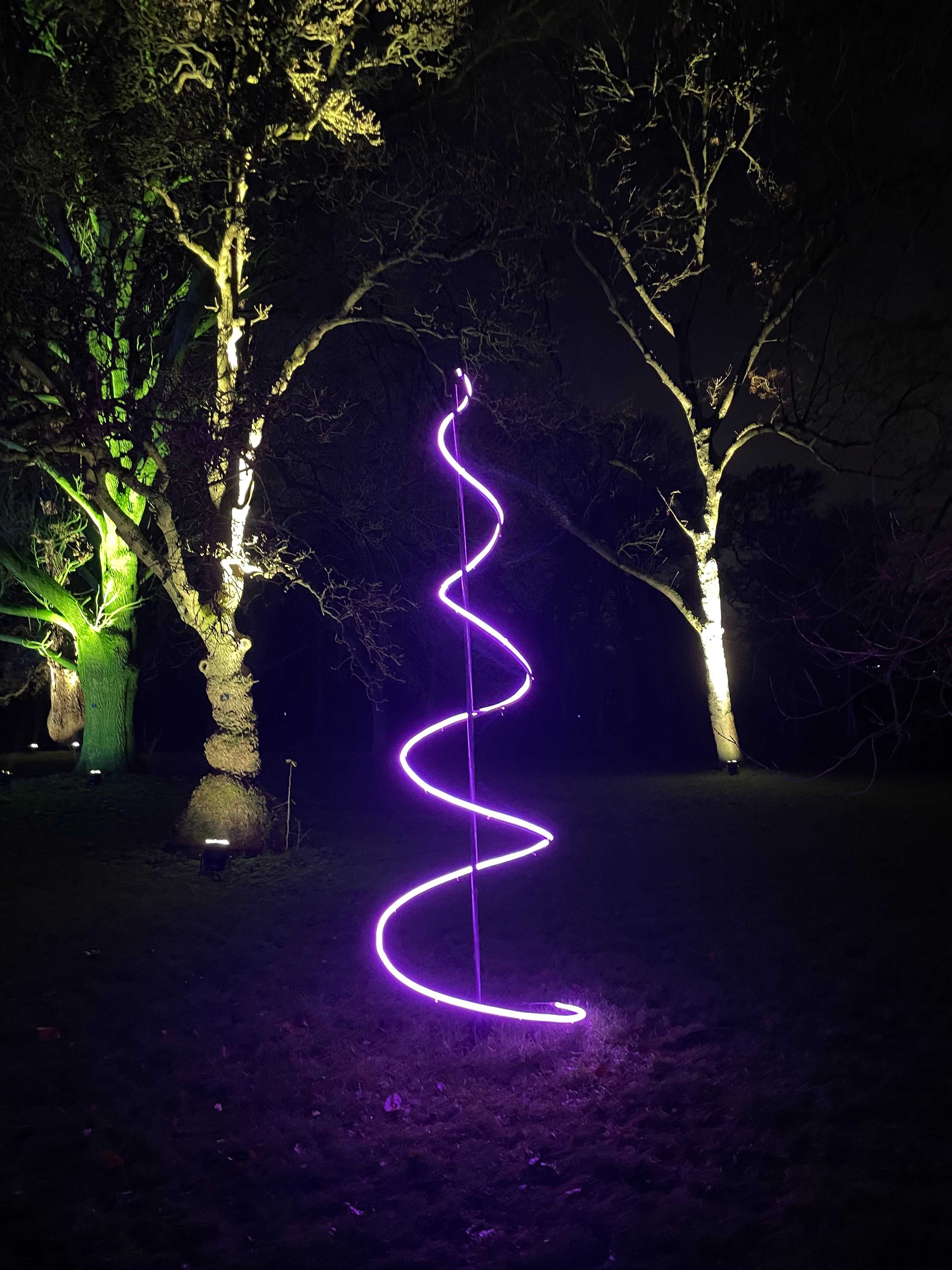 Purple spiral light, Christmas at Kew