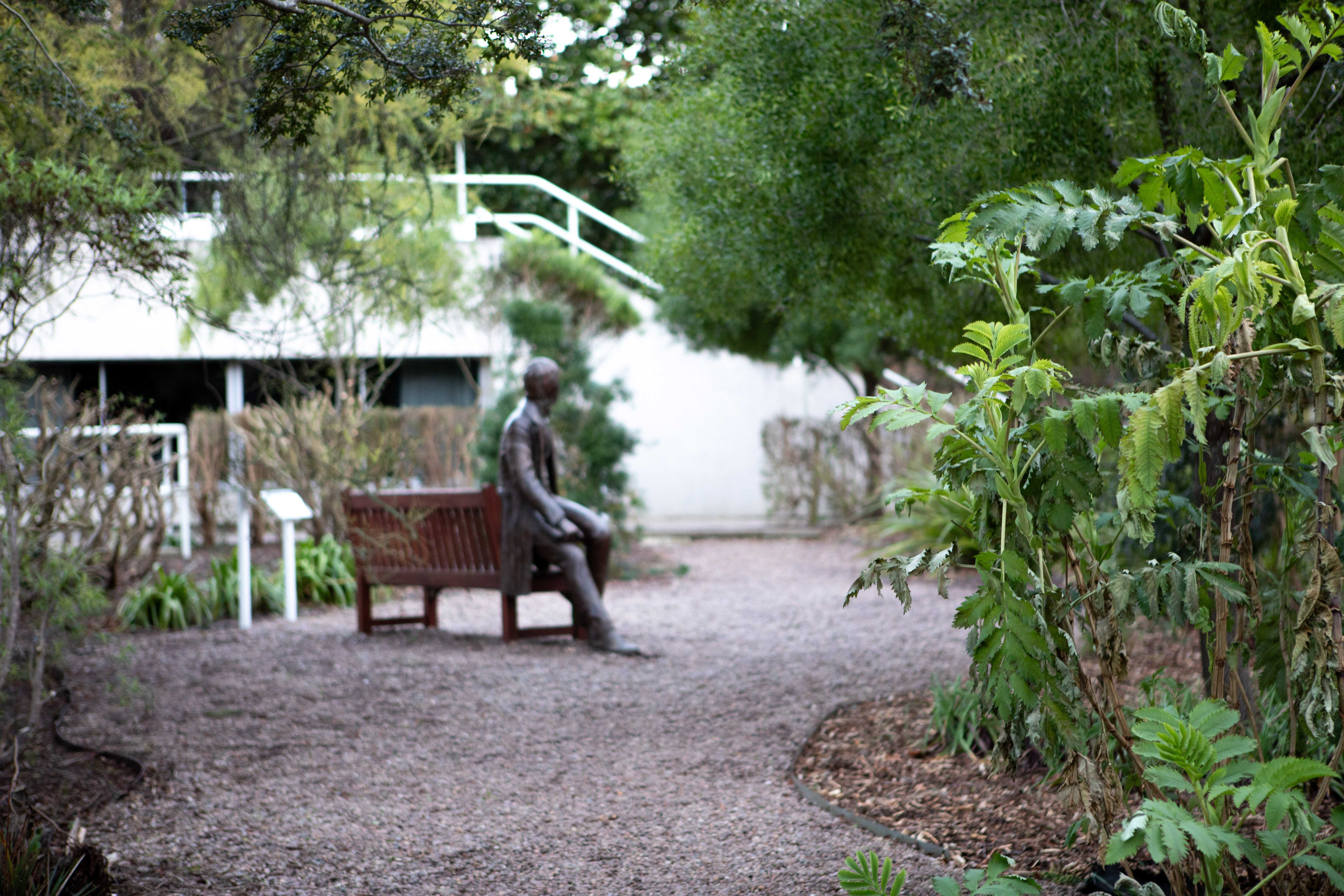 Young Darwin, Christ's College