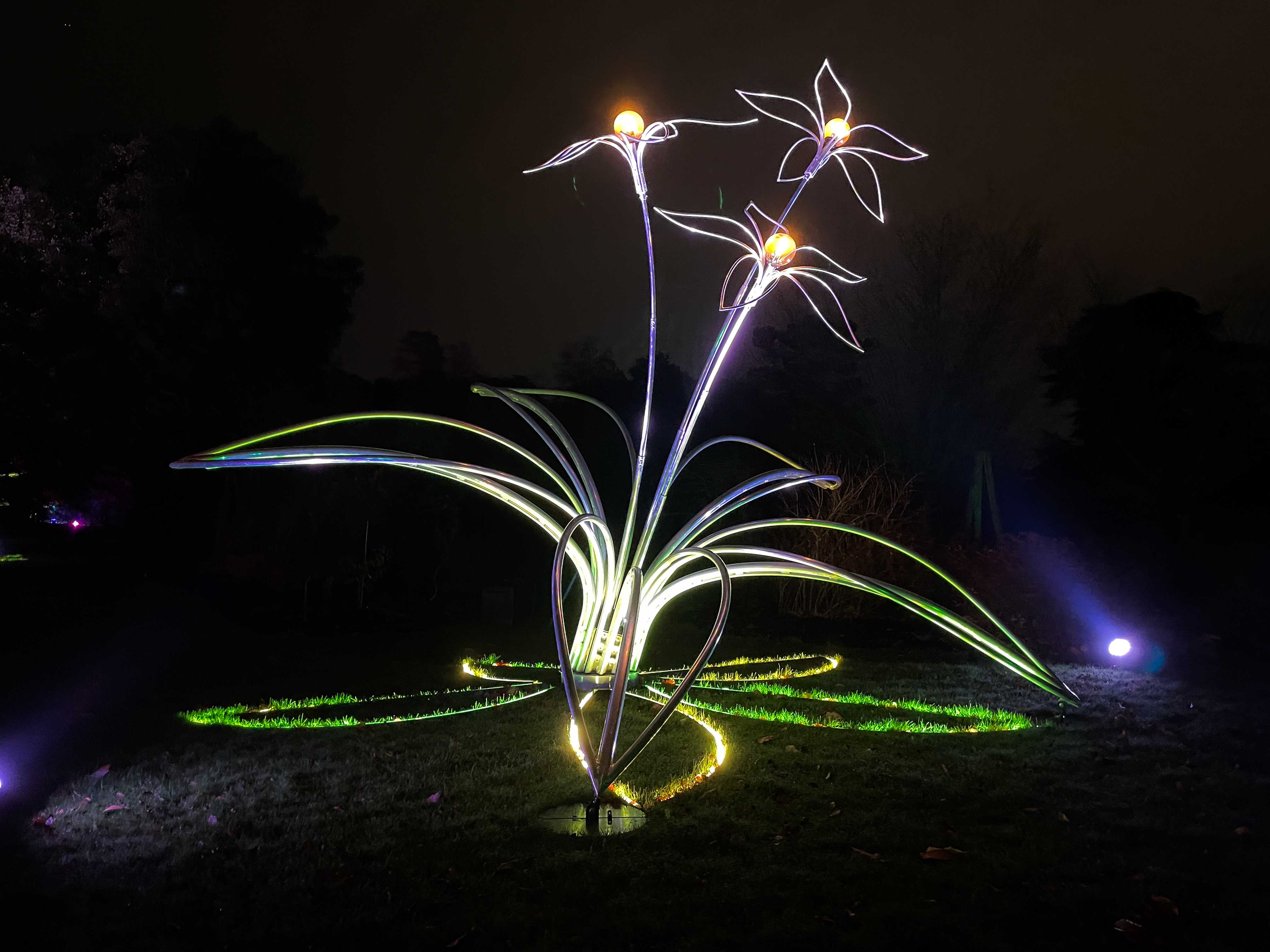 White flower sculpture, Christmas at Kew